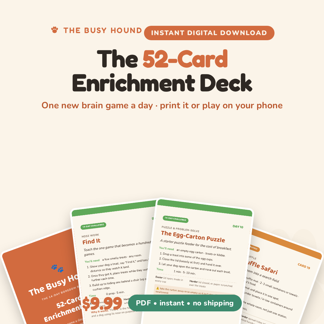 52-Card Dog Enrichment Deck - instant digital download, $9.99