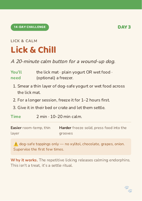 A real, fully readable card from the deck: Day 3 'Lick & Chill', a 20-minute calm-down game