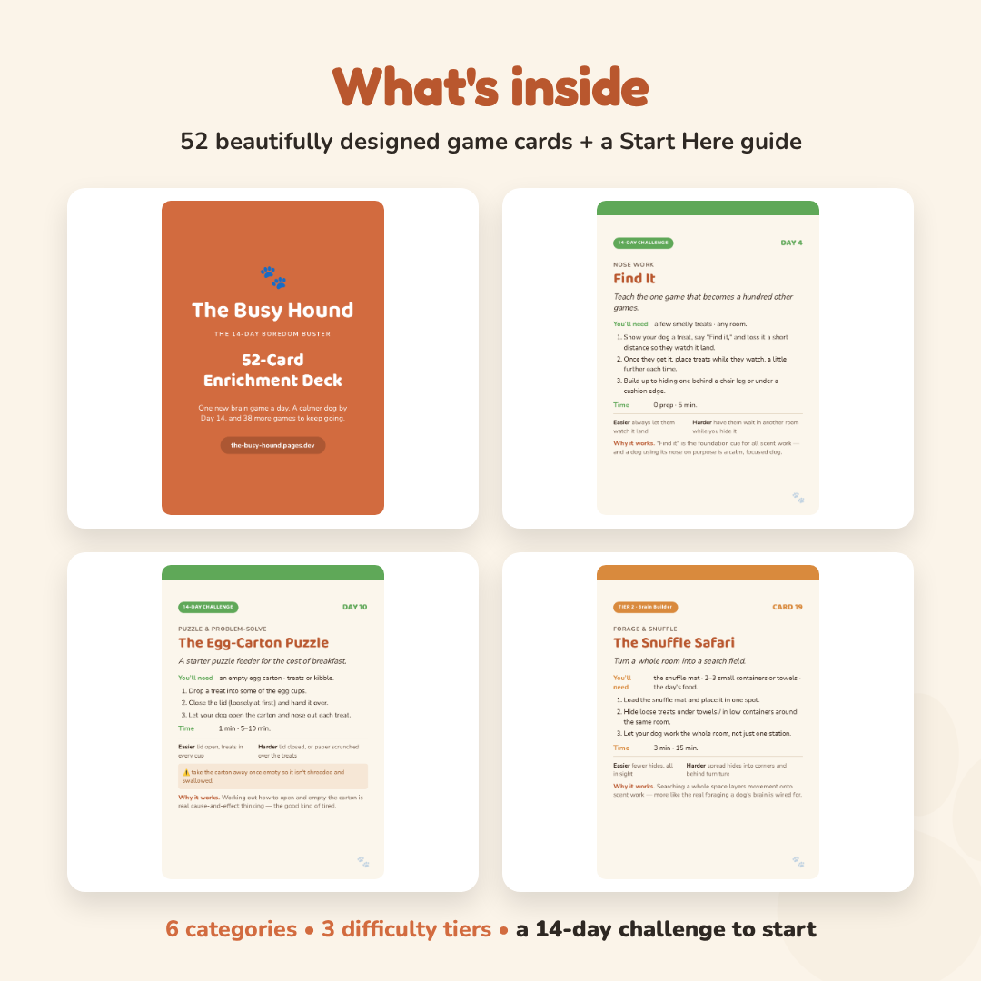 What's inside: 52 game cards across 6 categories and 3 difficulty tiers